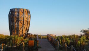 Diseñar en armonía con la naturaleza arquitectura en humedales urbanos y una búsqueda del bienestar territorial