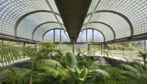 Diseñar para plantas la arquitectura de los invernaderos y su relación con el entorno