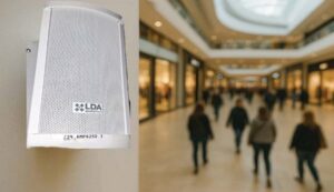 Sismos y caos por qué la megafonía puede ser la diferencia entre el orden y el desastre