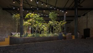 El Pabellón de México en la Bienal de Arquitectura de Venecia explora el potencial ecológico de los sistemas agrícolas ancestrales