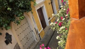 Las piedras de Cartagena la arquitectura colonial que clama resiliencia