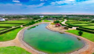 Vivir en el campo claves para elegir tu primera casa fuera de la ciudad