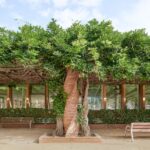 Ampliación de la Biblioteca Santa Oliva en Olesa de Montserrat
