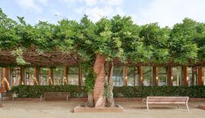 Ampliación de la Biblioteca Santa Oliva en Olesa de Montserrat