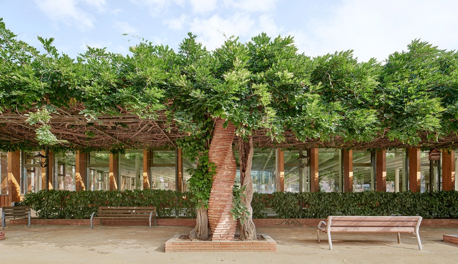 Ampliación de la Biblioteca Santa Oliva en Olesa de Montserrat