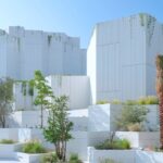 Museo de Historia Natural en Abu Dabi