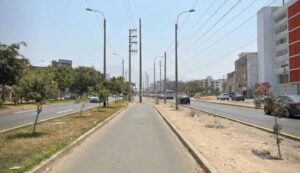 Lima, la ciudad con menos árboles de Sudamérica casi cinco veces menos áreas verdes de lo que necesita