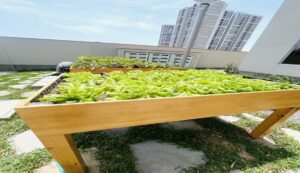 Cómo crear un biohuerto en casa y reconectar con la naturaleza desde espacios urbanos