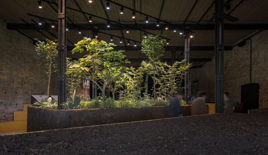 El Pabellón de México en la Bienal de Arquitectura de Venecia explora el potencial ecológico de los sistemas agrícolas ancestrales