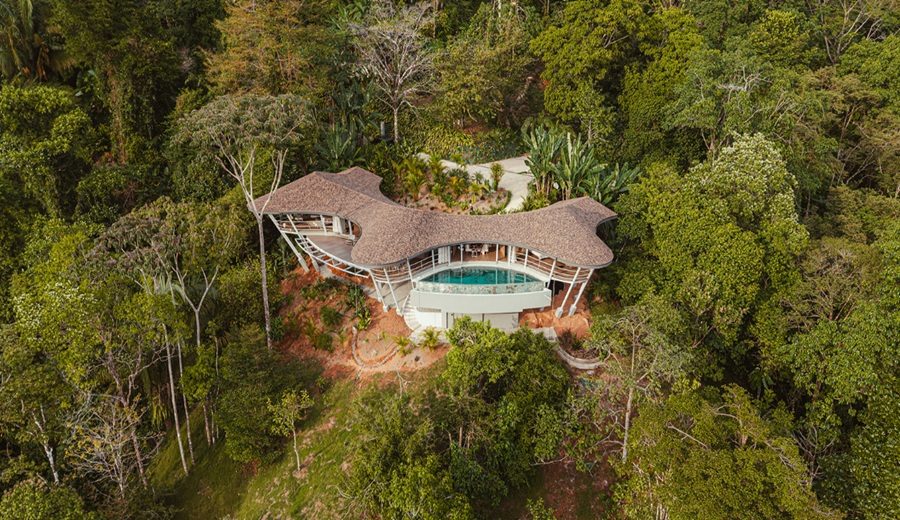 Ojo de Nila studio Saxe