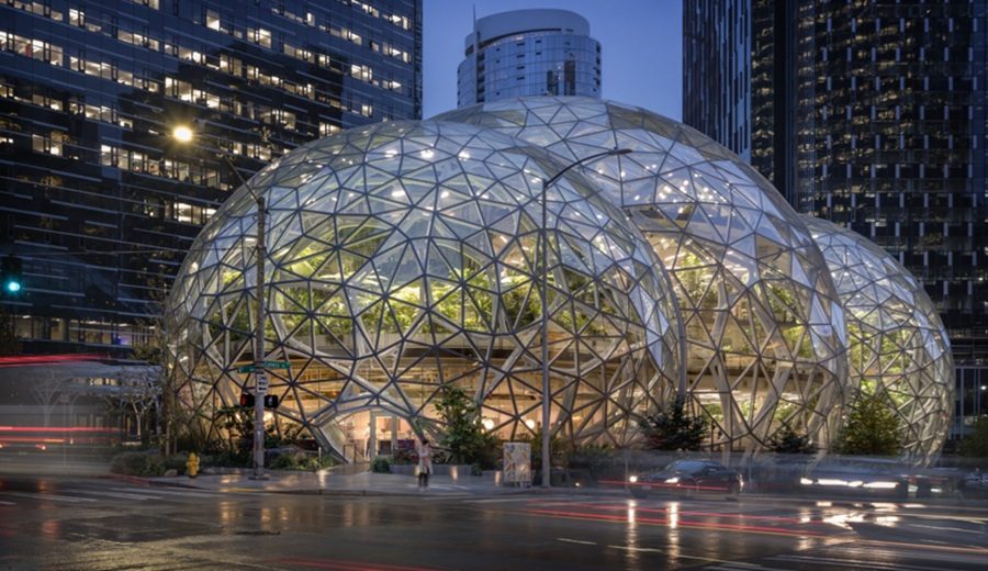 Willmott’s Ghost Willmott’s Ghost